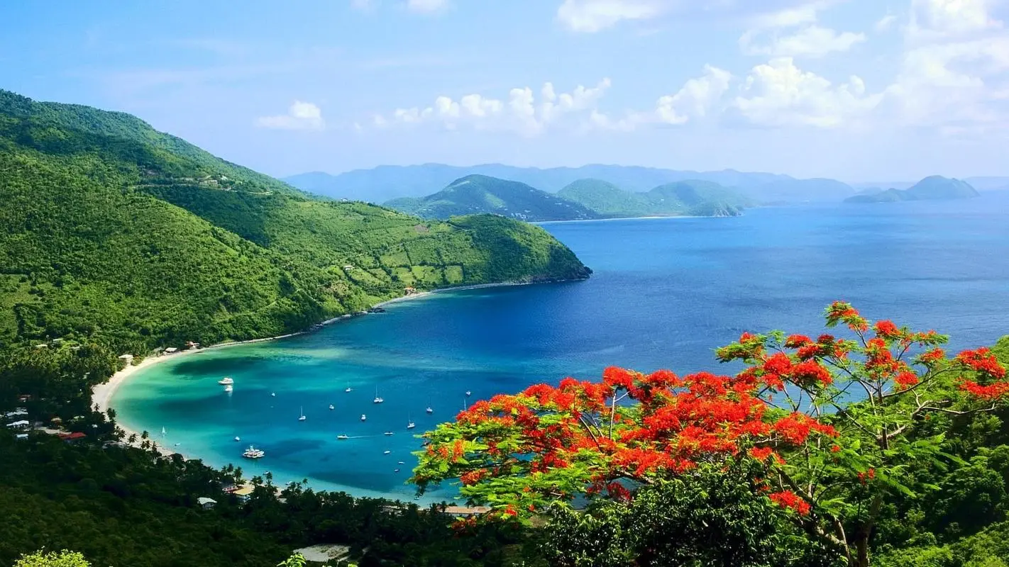 高效自动化可靠性